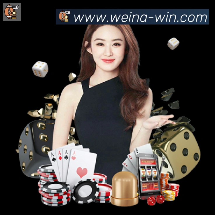 维纳棋牌荣誉